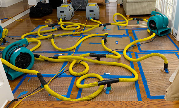 Professional Sewage Cleanup technician working in Vader, WA